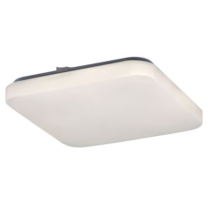 Rabalux - Luz de teto LED 1xLED/20W/230V