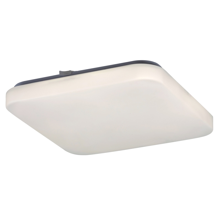 Rabalux - Luz de teto LED 1xLED/20W/230V