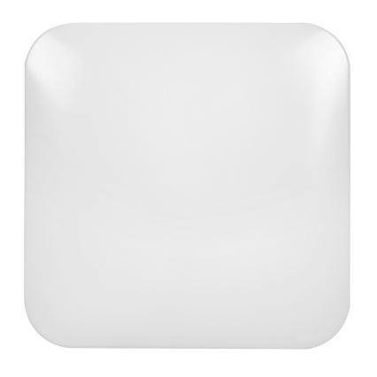 Rabalux - Luz de teto LED 1xLED/20W/230V