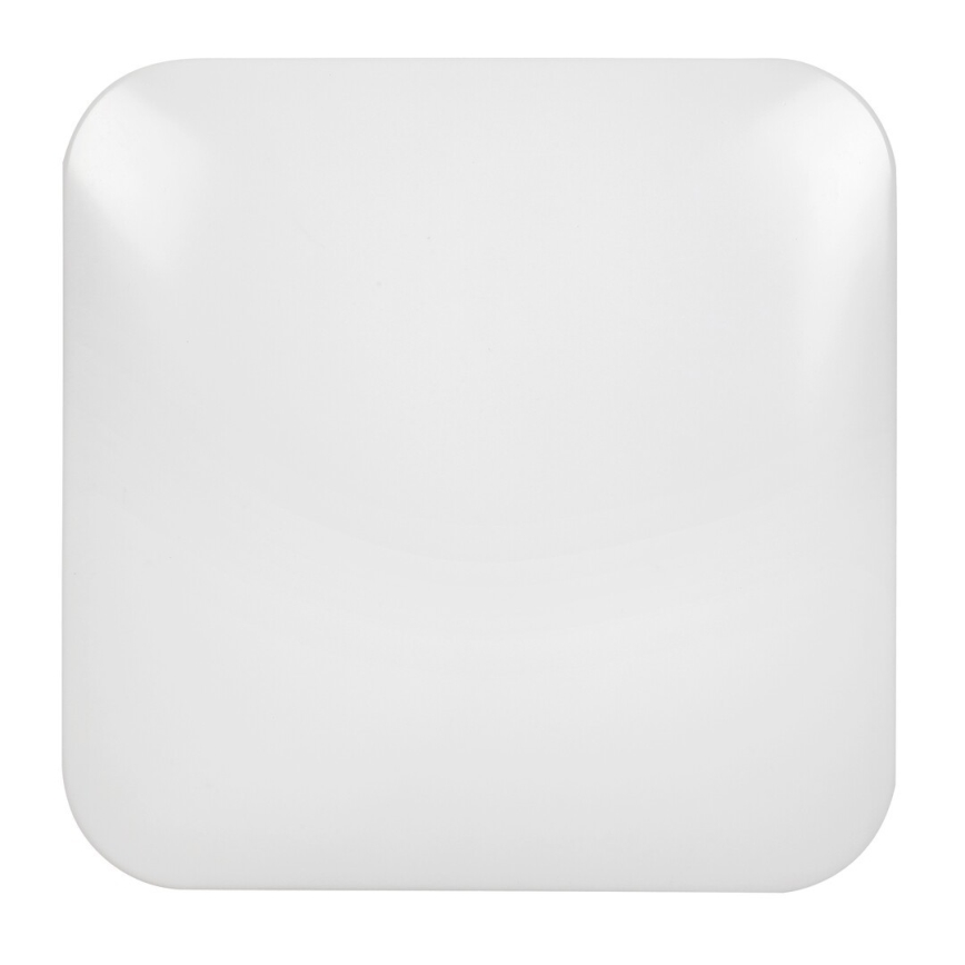 Rabalux - Luz de teto LED 1xLED/20W/230V