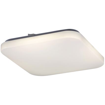 Rabalux - Luz de teto LED 1xLED/32W/230V