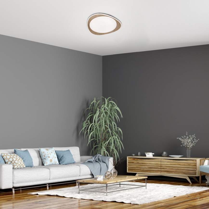 Rabalux - Iluminação de teto LED LED/24W/230V
