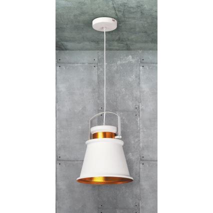 Rabalux 2571 - Luz pendente DUSAN E27/40W