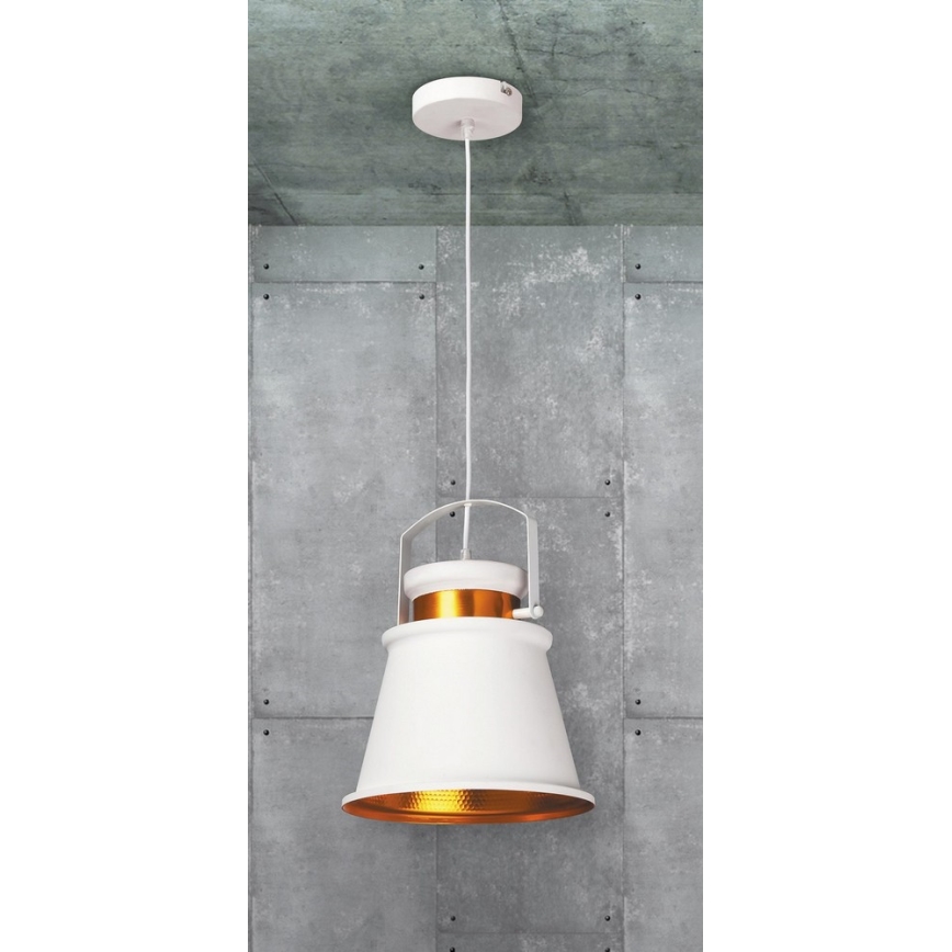 Rabalux 2571 - Luz pendente DUSAN E27/40W