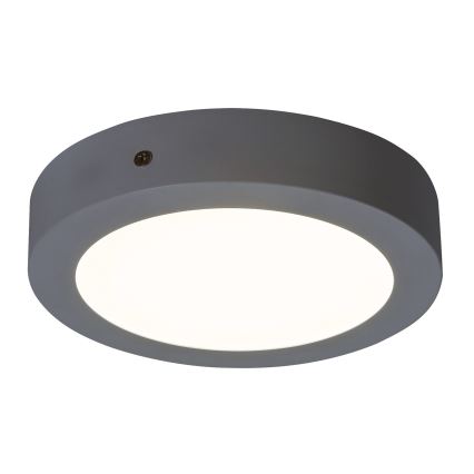 Rabalux - Luz de teto LED LED/12W/230V
