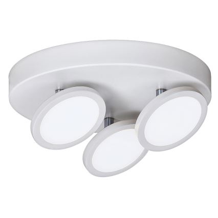 Rabalux - Luz de teto LED 3xLED/6W/230V branco