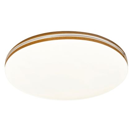 Rabalux - Luz de teto LED 1xLED/18W/230V