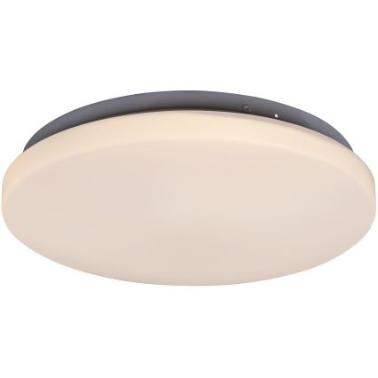 Rabalux - Luz de teto LED 1xLED/20W/230V