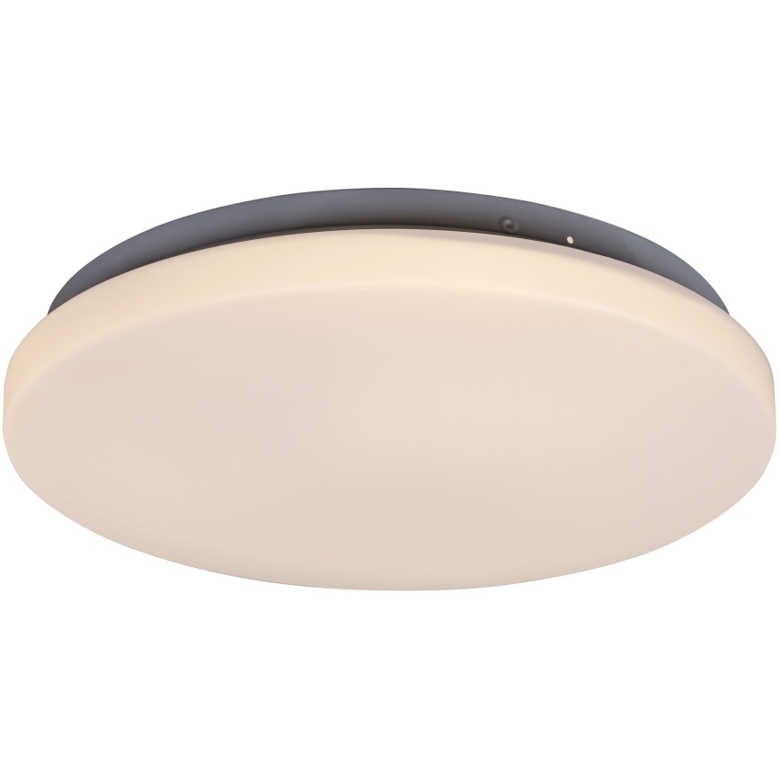 Rabalux - Luz de teto LED 1xLED/20W/230V