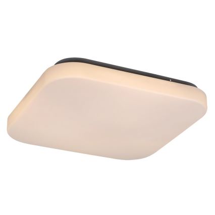Rabalux - Luz de teto LED 1xLED/20W/230V