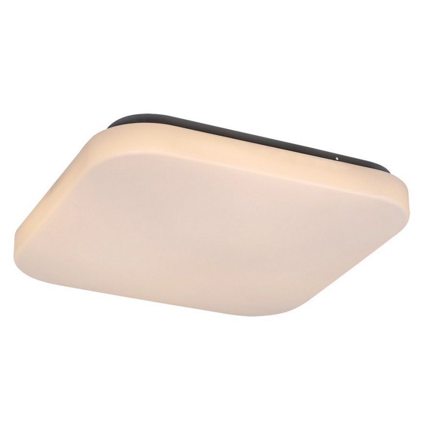 Rabalux - Luz de teto LED 1xLED/20W/230V