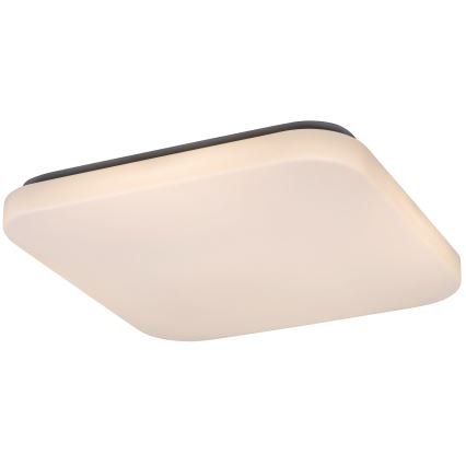 Rabalux - Luz de teto LED LED/32W/230V