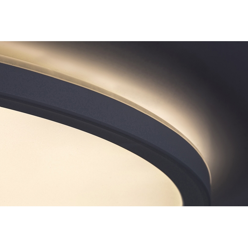 Luz de teto fosca LED PAVEL LED/22W/230V