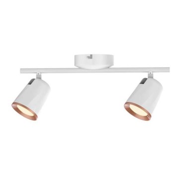 Rabalux 5046 - Foco LED SOLANGE 2xLED/6W/230V