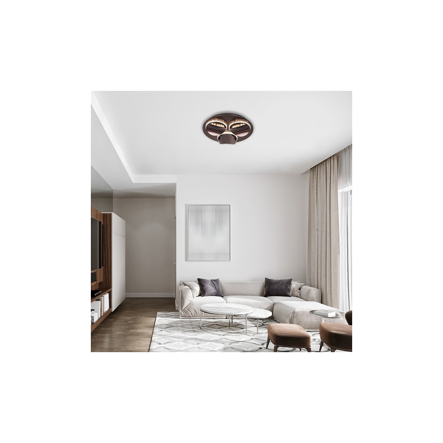 Rabalux 5050 - Luz de teto fosca LED CAPRIANA LED/18W/230V