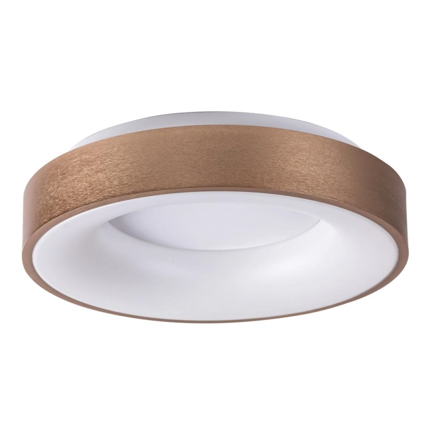 Rabalux 5052 - Luz de teto LED CARMELA LED/30W/230V