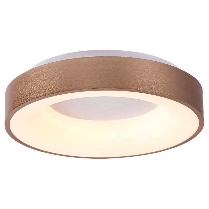 Rabalux 5052 - Luz de teto LED CARMELA LED/30W/230V