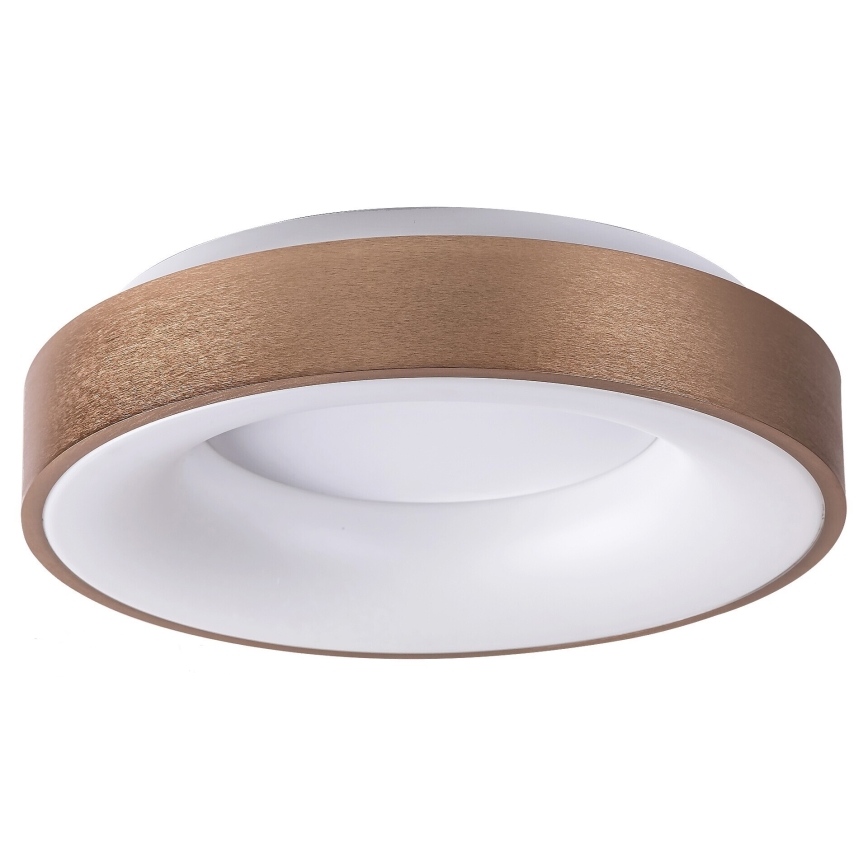 Rabalux 5052 - Luz de teto LED CARMELA LED/30W/230V