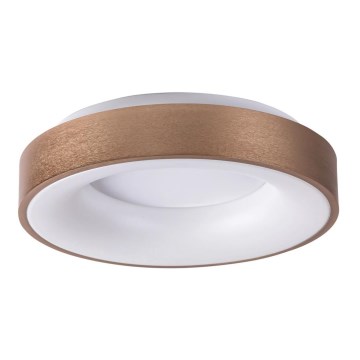 Rabalux 5053 - Luz de teto LED CARMELA LED/50W/230V