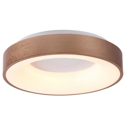 Rabalux 5053 - Luz de teto LED CARMELA LED/50W/230V