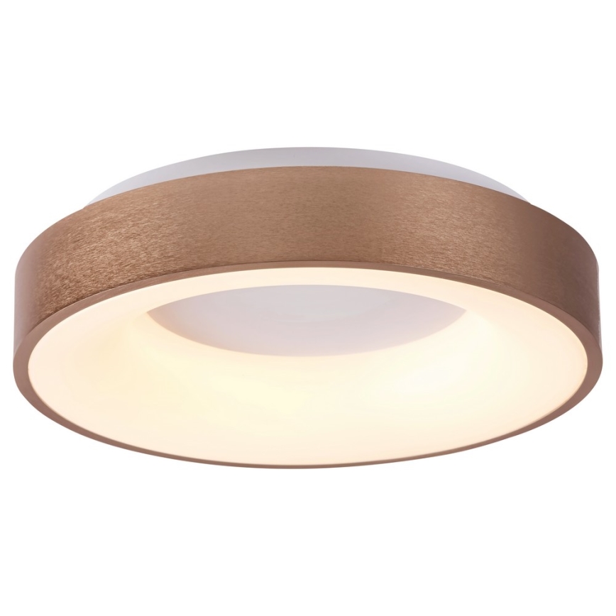 Rabalux 5053 - Luz de teto LED CARMELA LED/50W/230V