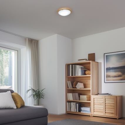 Rabalux - Iluminação de teto 1xE27/60W/230V diâmetro 30 cm