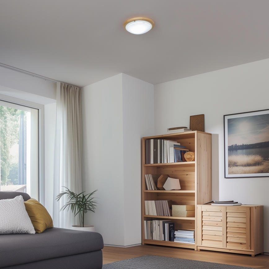Rabalux - Iluminação de teto 1xE27/60W/230V diâmetro 30 cm