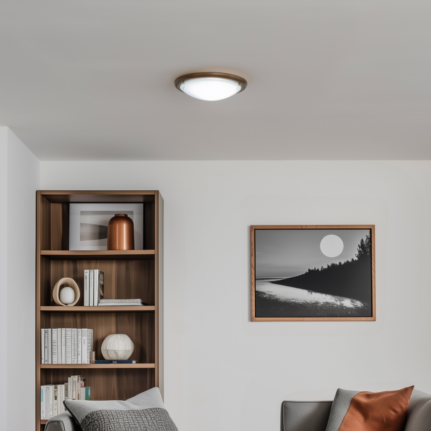 Rabalux - Iluminação de teto 1xE27/60W/230V diâmetro 30 cm