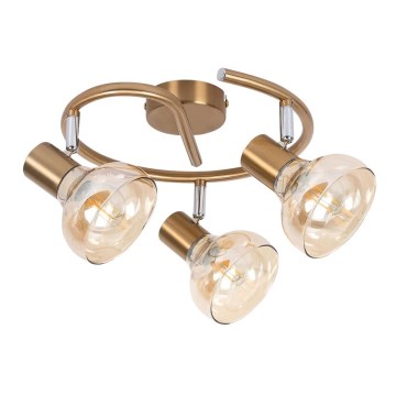 Rabalux 5549 - Foco HOLLY 3xE14/40W/230V dourado