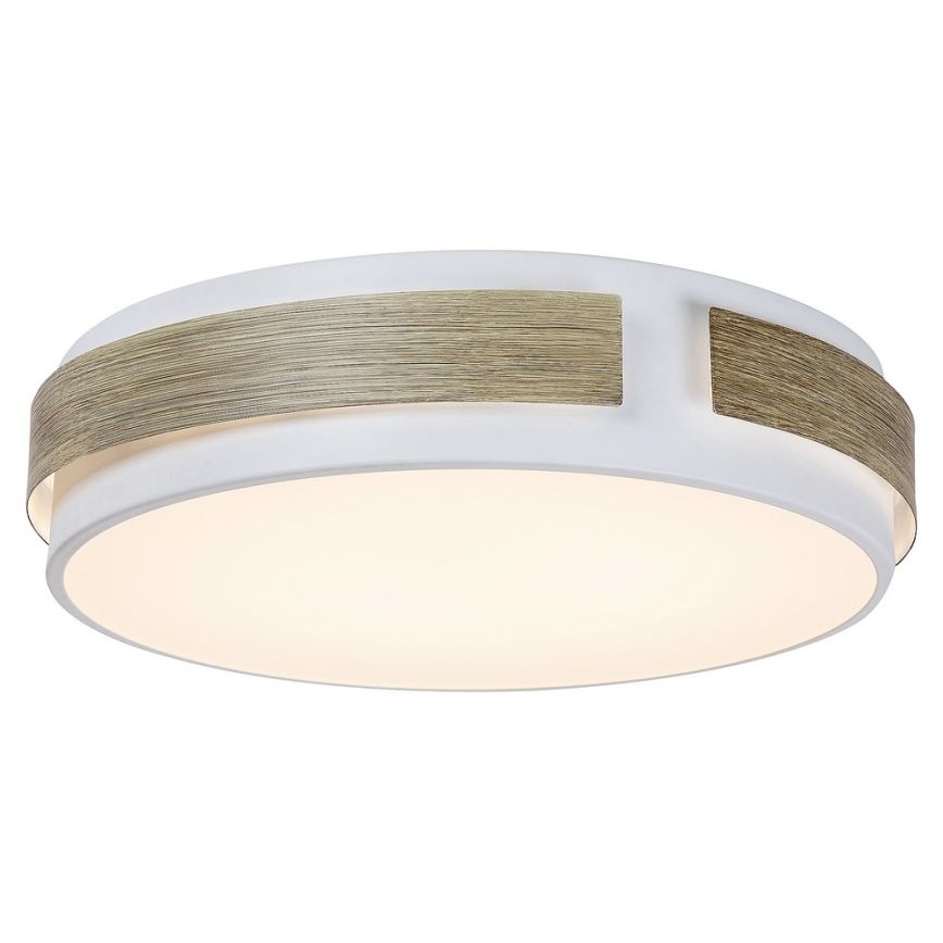 Rabalux - Luz de teto fosca LED LED/24W/230V