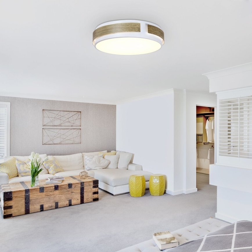 Rabalux - Luz de teto fosca LED LED/24W/230V