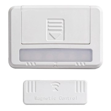 Rabalux 5675 - CONJUNTO 2xLED Iluminação de armário MAGNUS LED/0,5W/3V