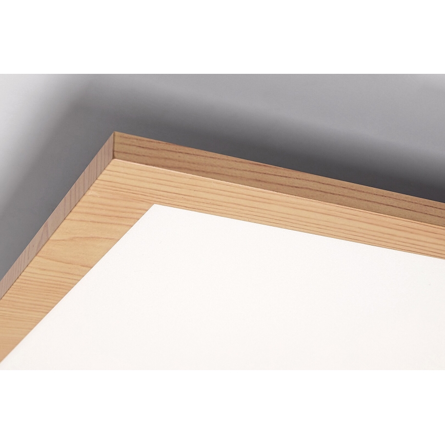 Rabalux - Painel montado à superfície LED LED/40W/230V 4000K