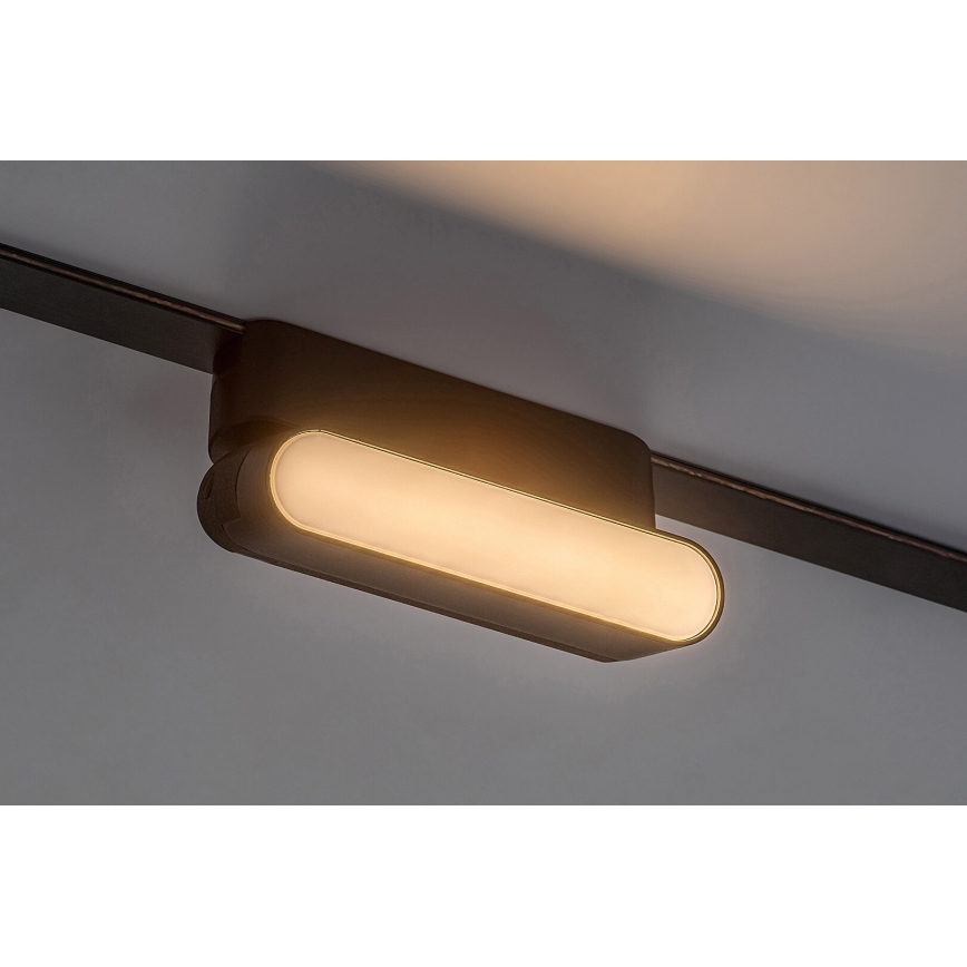 Rabalux - LED Candeeiro de teto para sistema de carris monofásico LED/6W/230V 3000K 11,5 cm preto