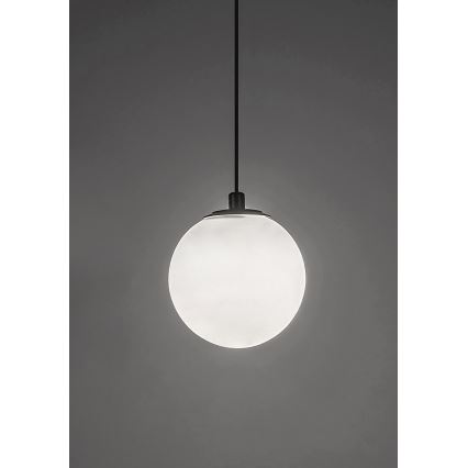 Rabalux - Candeeiro suspenso LED para sistema de carris monofásico LED/5W/230V 4000K preto