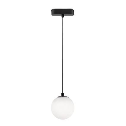 Rabalux - Candeeiro suspenso LED para sistema de carris monofásico LED/5W/230V 4000K preto