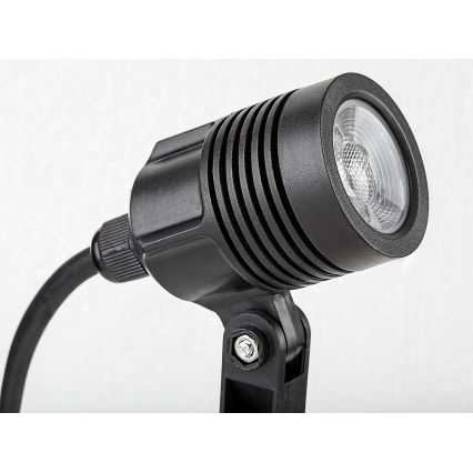 Rabalux - Candeeiro exterior LED LED/3W/230V IP65
