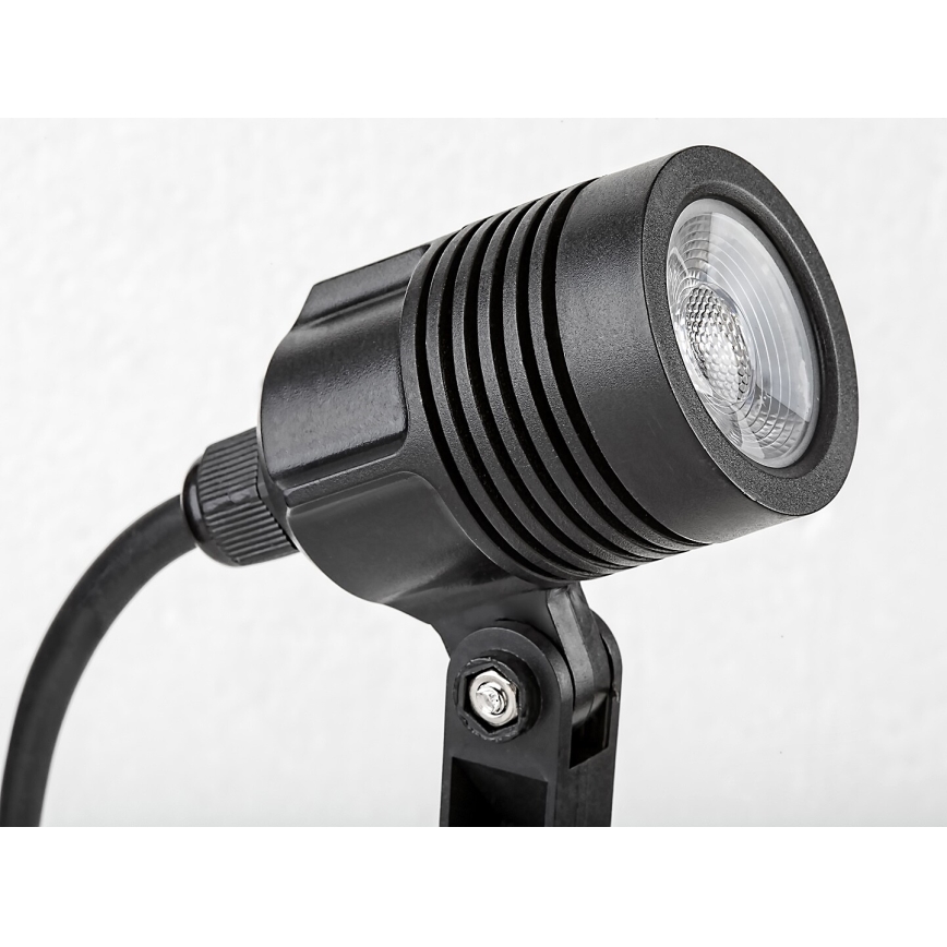 Rabalux - Candeeiro exterior LED LED/3W/230V IP65