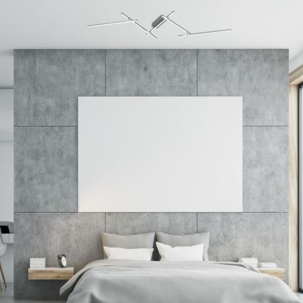 Rabalux - Iluminação de teto LED LED/40W/230V 4000K