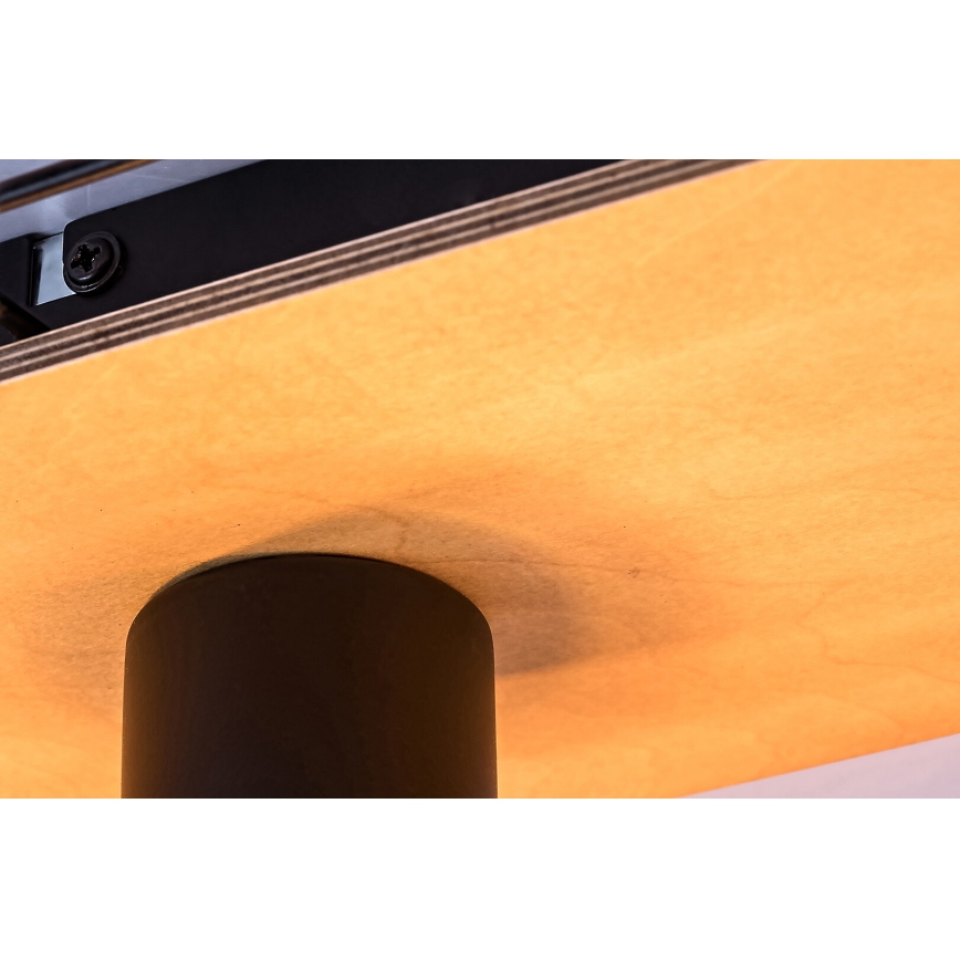 Rabalux - Iluminação de teto 3xE27/40W/230V 18x44 cm