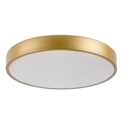 Rabalux - Iluminação de teto LED LED/36W/230V 3000K