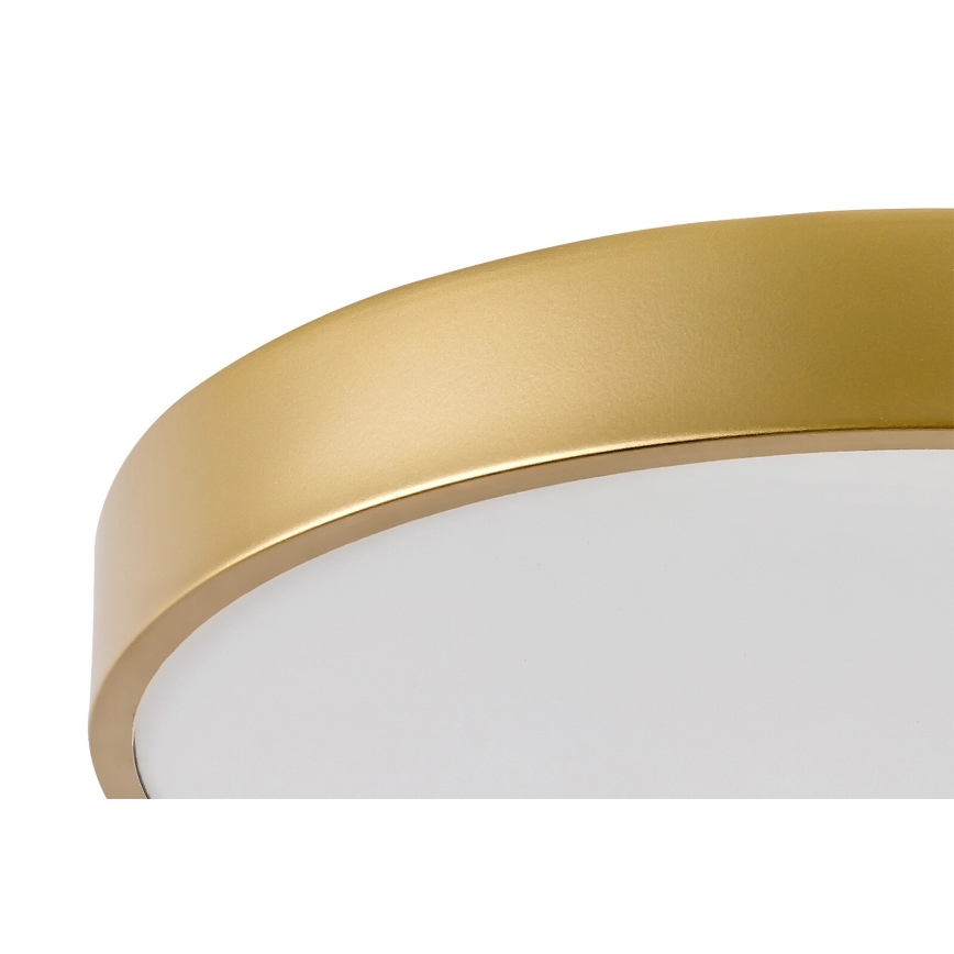 Rabalux - Iluminação de teto LED LED/36W/230V 3000K
