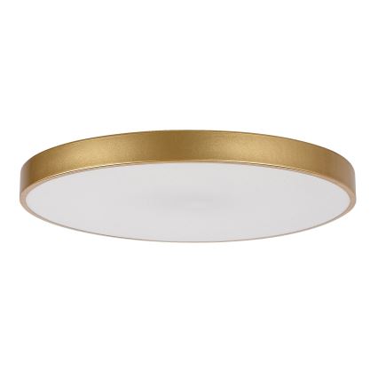 Rabalux - Iluminação de teto LED com regulação LED/60W/230V 3000-6000K + controlo remoto