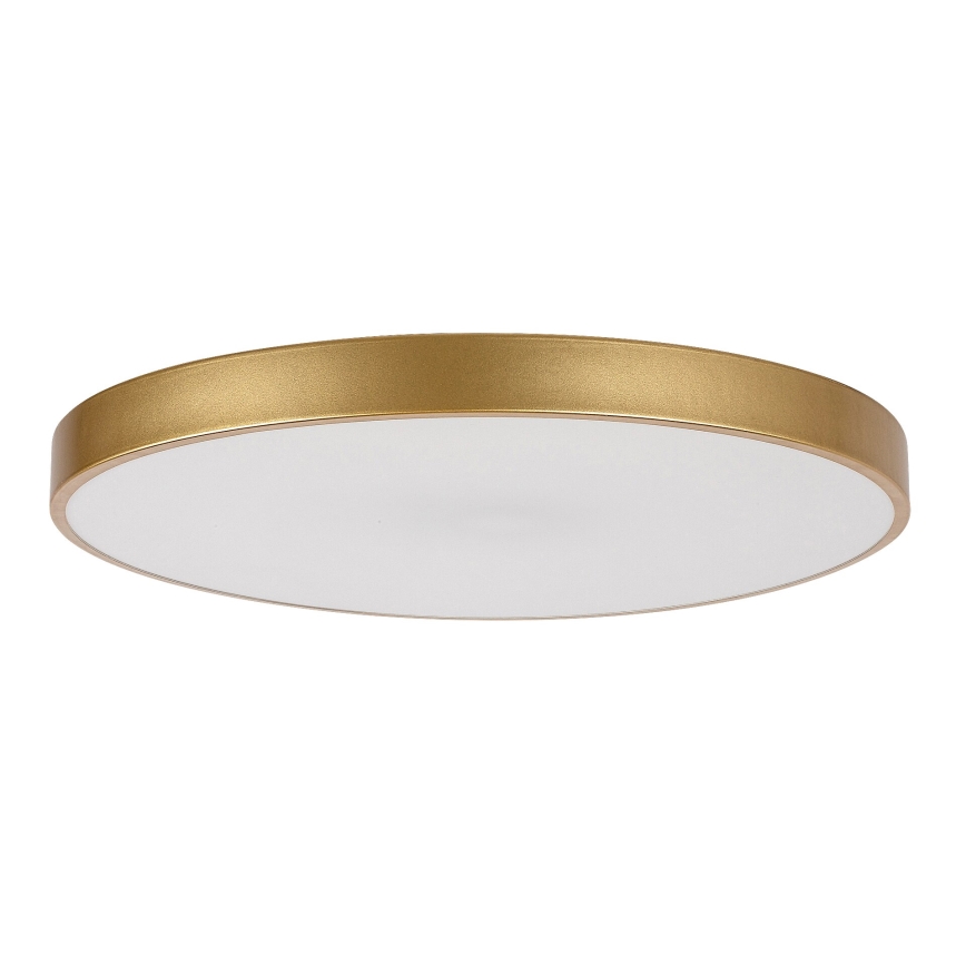 Rabalux - Iluminação de teto LED com regulação LED/60W/230V 3000-6000K + controlo remoto