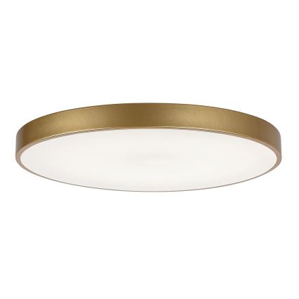 Rabalux - Iluminação de teto LED com regulação LED/60W/230V 3000-6000K + controlo remoto