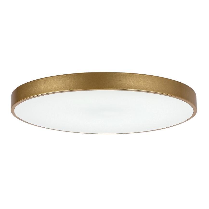 Rabalux - Iluminação de teto LED com regulação LED/60W/230V 3000-6000K + controlo remoto