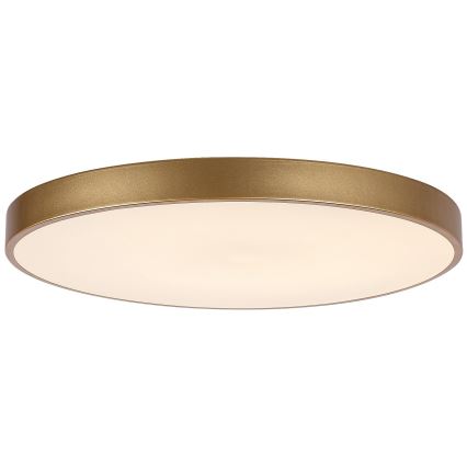 Rabalux - Iluminação de teto LED com regulação LED/60W/230V 3000-6000K + controlo remoto