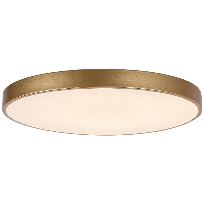 Rabalux - Plafon LED regulável LED/60W/230V 3000-6000K + controlo remoto