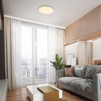 Rabalux - Iluminação de teto LED LED/24W/230V 4000K diâmetro 40 cm