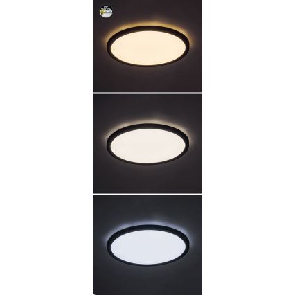 Rabalux - Iluminação de teto LED LED/24W/230V 3000/4000/6000K diâmetro 29 cm preto